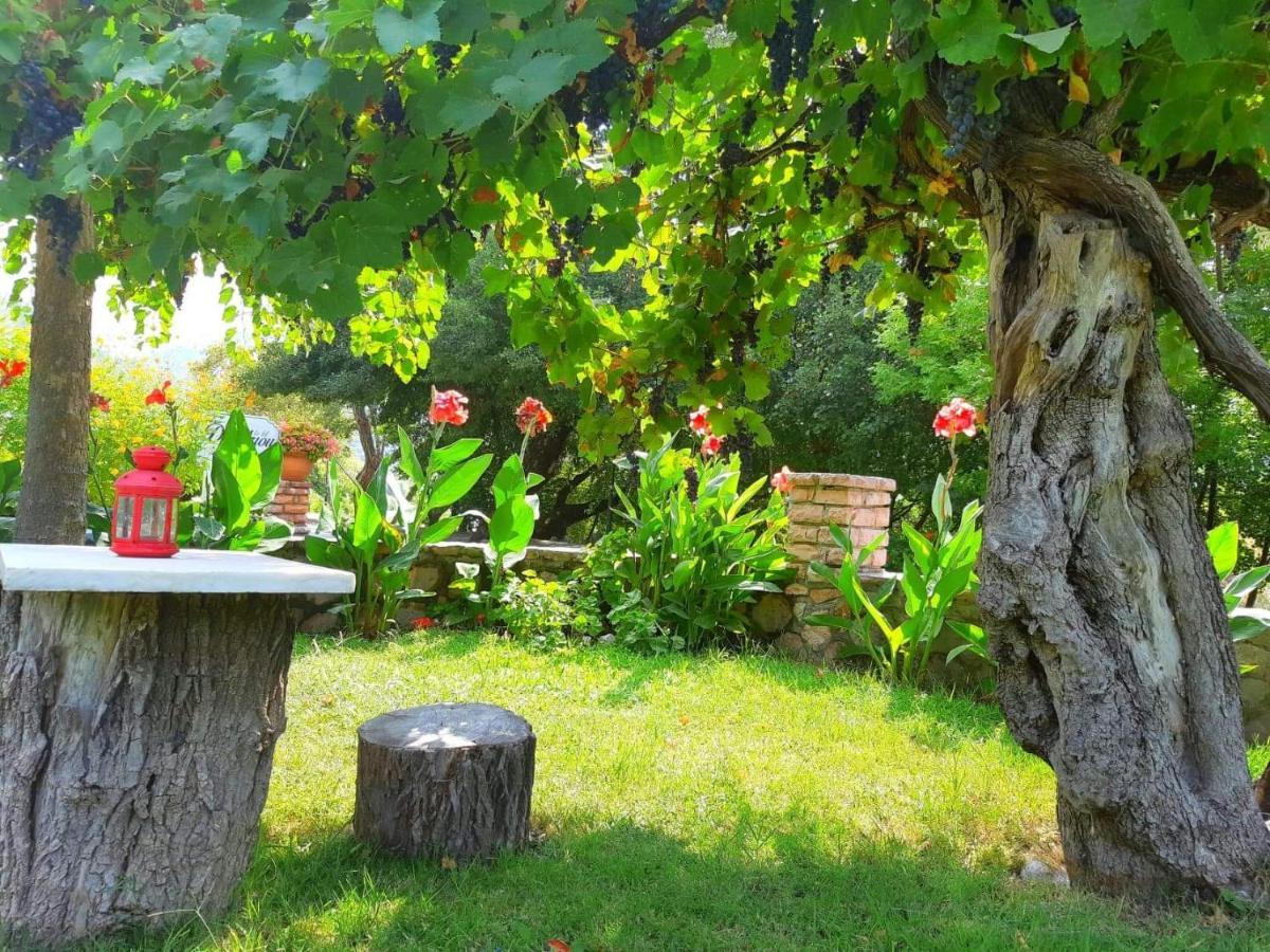 Dimitriou Rooms Глики Экстерьер фото